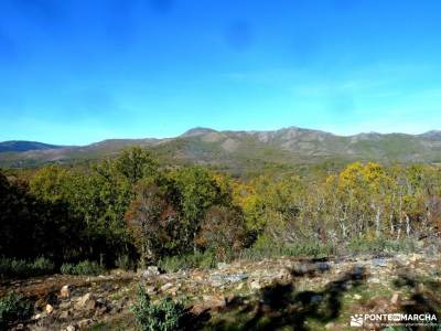 Sierra del Rincón-Río Jarama; puig campana senderismo refugio collado jermoso trekking pirineos